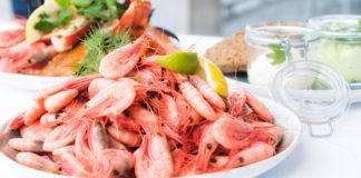 Let Us Know What Shrimps Have To Offer food