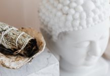 How to Cook with Sage: 10 Culinary Uses for Sage Sage Recipes