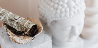 How to Cook with Sage: 10 Culinary Uses for Sage Sage Recipes