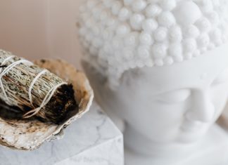 How to Cook with Sage: 10 Culinary Uses for Sage Sage Recipes