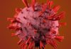 Anemia; Causes, Prevention, and Treatment