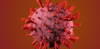 Anemia; Causes, Prevention, and Treatment