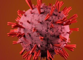 Anemia; Causes, Prevention, and Treatment