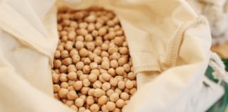 11 Health Benefits of Soybeans soybeans