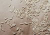 9 Healthy Rice Substitutes and Alternatives 9 Healthy Rice Substitutes and Alternatives