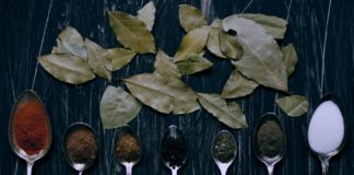 Health Benefits and Features of Bay Leaf Health Benefits and Features of Bay Leaf