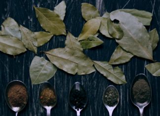 Health Benefits and Features of Bay Leaf Health Benefits and Features of Bay Leaf