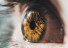Conjunctivitis: Causes & Symptoms eyeball