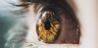 Conjunctivitis: Causes & Symptoms eyeball