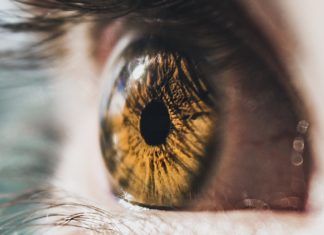 Conjunctivitis: Causes & Symptoms eyeball