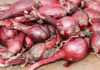 8 Healthy and Delicious Substitutes for Shallots Shallot