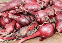 8 Healthy and Delicious Substitutes for Shallots Shallot