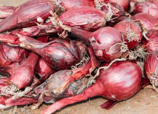 8 Healthy and Delicious Substitutes for Shallots Shallot