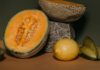 12 Health Benefits of Abiu Fruit abiu fruit