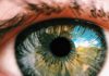 Natural Remedies to Reverse Vision Loss Natural Remedies to Reverse Vision Loss