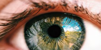 Natural Remedies to Reverse Vision Loss Natural Remedies to Reverse Vision Loss