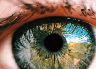 Natural Remedies to Reverse Vision Loss Natural Remedies to Reverse Vision Loss