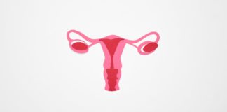 Here’s what to Know About Enlarged Ovaries ovaries