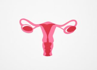 Here’s what to Know About Enlarged Ovaries ovaries