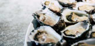 All You Need to Know About Oysters All You Need to Know About Oysters