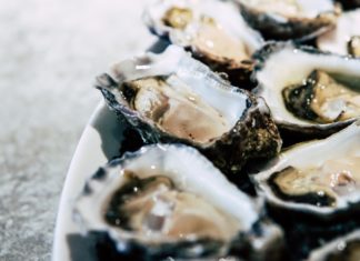 All You Need to Know About Oysters All You Need to Know About Oysters