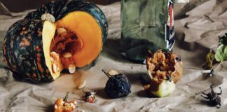 7 Health Benefits of Squash Health Benefits of Squash