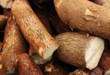 8 Health Benefits of Tapioca health benefits of tapioca