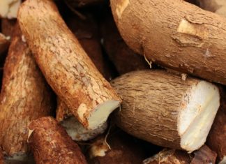 8 Health Benefits of Tapioca health benefits of tapioca