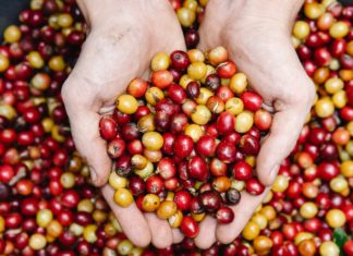 Ever Heard of Chaste Berries? Ever Heard of Chaste Berries?