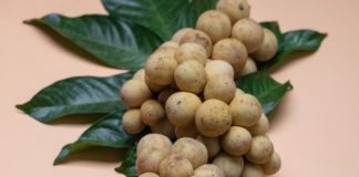 12 Incredible Health Benefits of Longan 12 Incredible Health Benefits of Longan