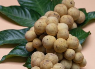 12 Incredible Health Benefits of Longan 12 Incredible Health Benefits of Longan