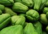 Overwhelming Health Benefits of Chayote Overwhelming Health Benefits of Chayote