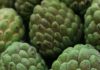 16 Incredible Health Benefits of Sugar Apple Health Benefits of Sugar Apple