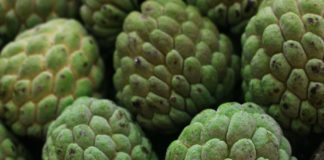 16 Incredible Health Benefits of Sugar Apple Health Benefits of Sugar Apple