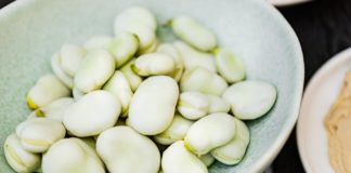 Ever Heard of Fava Beans Health Benefits? Ever Heard of Fava Beans Health Benefits?