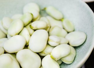 Ever Heard of Fava Beans Health Benefits? Ever Heard of Fava Beans Health Benefits?