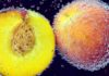 Shocking Fact to know About Stone Fruit Shocking Fact to know About Stone Fruit
