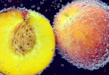Shocking Fact to know About Stone Fruit Shocking Fact to know About Stone Fruit