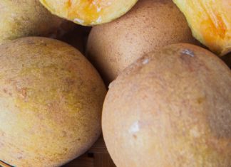 Amazing Naseberry Uses and Benefits Amazing Naseberry Uses and Benefits