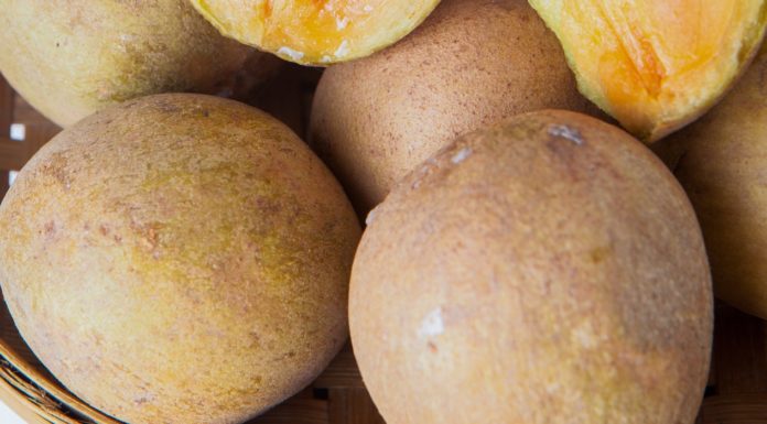 Amazing Naseberry Uses and Benefits Amazing Naseberry Uses and Benefits