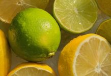 Incredible Health Benefits of Quenepas Health Benefits of Quenepas