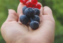 10 Health Benefits of Black Currant 10 Health Benefits of Black Currant