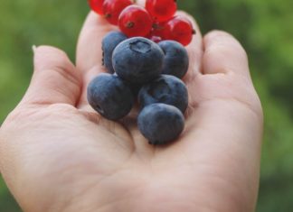 10 Health Benefits of Black Currant 10 Health Benefits of Black Currant