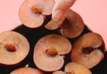 Have You Heard of Mamey Sapote? Have You Heard of Mamey Sapote?