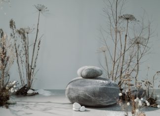 Facts and Health Benefits of Parsnip Facts and Health Benefits of Parsnip