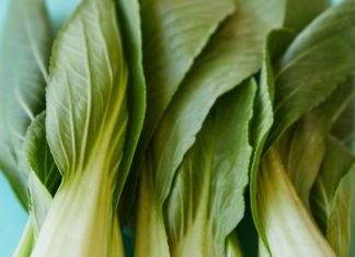 Fact and Benefits of Bok Choy Facts and Benefits of Bok Choy