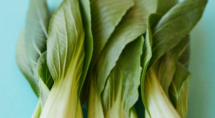 Fact and Benefits of Bok Choy Facts and Benefits of Bok Choy