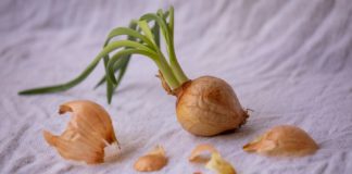 Amazing Health Benefits of Garlic Scape Amazing Health Benefits of Garlic Scape