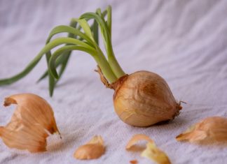 Amazing Health Benefits of Garlic Scape Amazing Health Benefits of Garlic Scape
