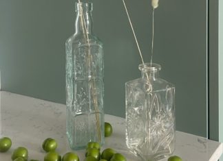 Health Benefits of Damson Plum Health Benefits of Damson Plum